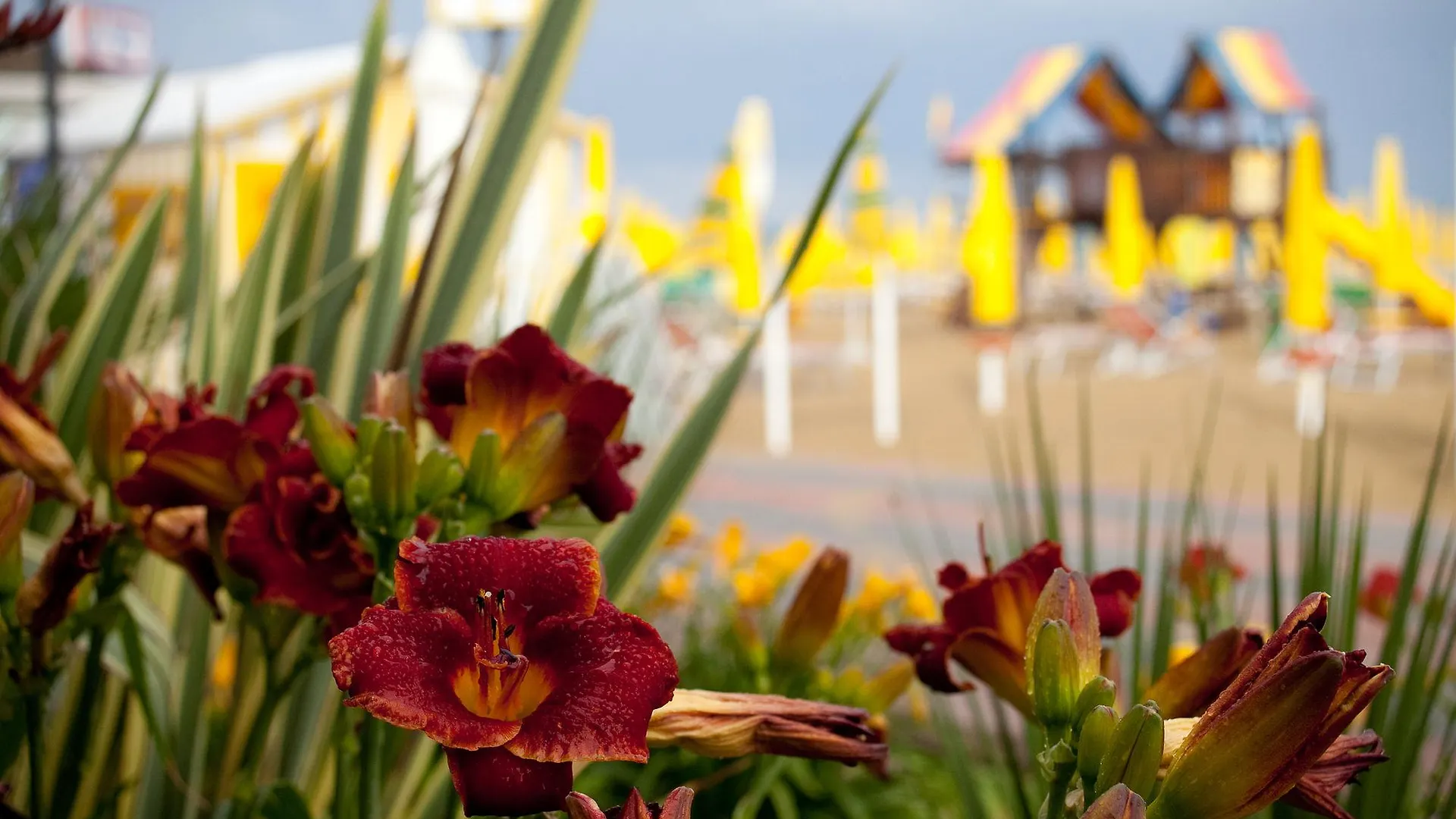 ***  Hotel Gritti Lido di Jesolo Italien